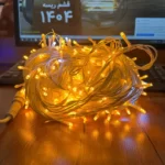 ریسه سوزنی نارنجی