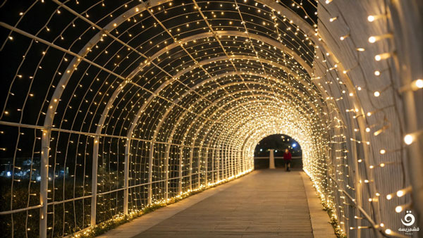 ریسه سوزنی تونل نور