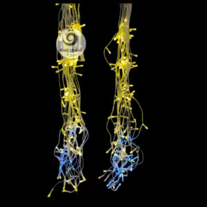 ریسه خوشه اي ١٠ متری فلش دار رنگ زرد افتابی