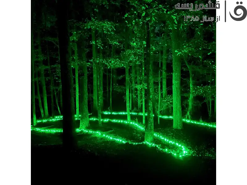نحوه تعمیر ریسه پاره شده 4 نحوه تعمیر ریسه پاره شده